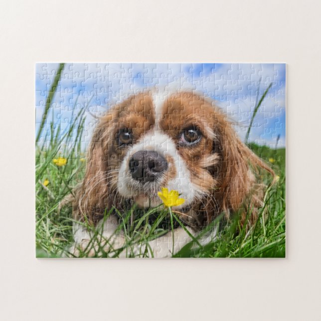 Blenheim Cavalier King Charles Spaniel Puppy Dog Puzzle (Horizontal)