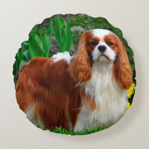 Blenheim Cavalier King Charles Spaniel Puppy Dog Rundes Kissen