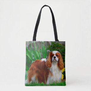 Blenheim Cavalier King Charles Spaniel Welpe Hund