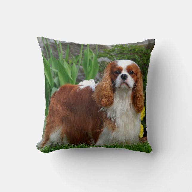 Blenheim Cavalier King Charles Spaniel Welpe Hund Kissen (Vorderseite)
