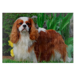 Blenheim Cavalier King Charles Spaniel Welpe Hund Schneidebrett