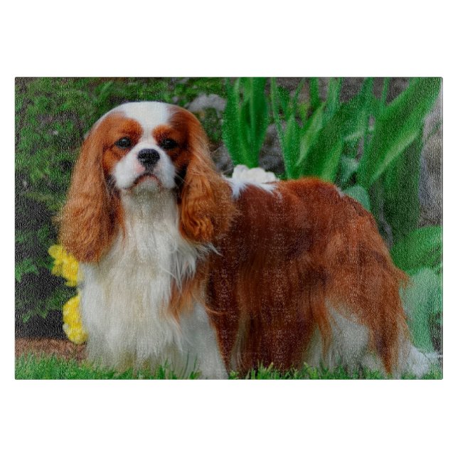 Blenheim Cavalier King Charles Spaniel Welpe Hund Schneidebrett (Vorderseite)