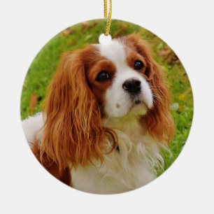 Blenheim Cavalier King Charles Spanier in Gras Keramik Ornament