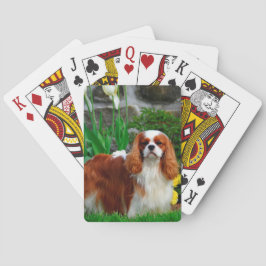 Blenheim Cavalier König Charles Spaniel Hund Spielkarten