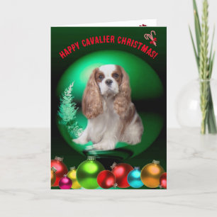 Blenheim Cavalier Weihnachtskarte Feiertagskarte