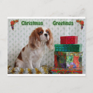 Blenheim Christmas Cavalier Feiertagspostkarte