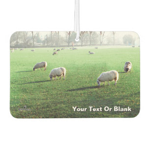 Blenheim Palace Sheep Autolufterfrischer
