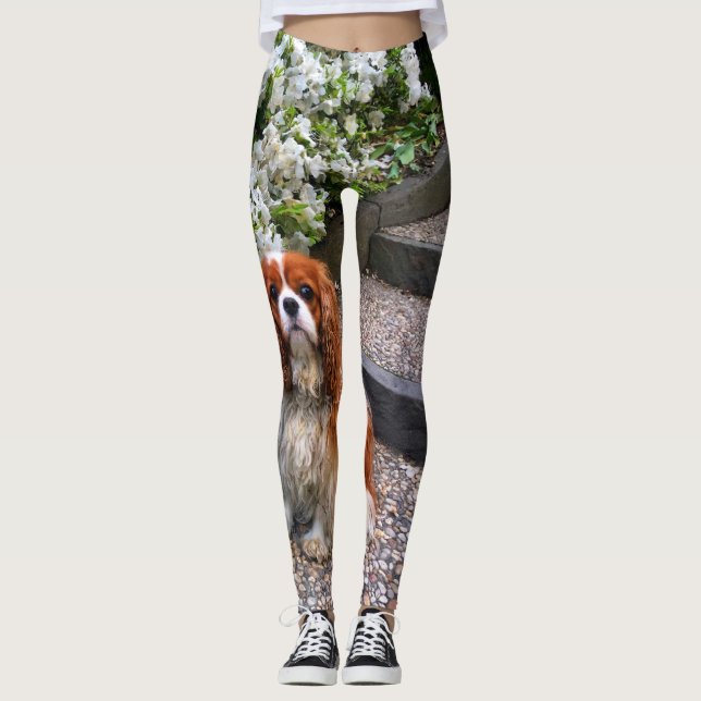 Blenheim unbekümmerte Blumenblätter König-Charles Leggings (Vorderseite)