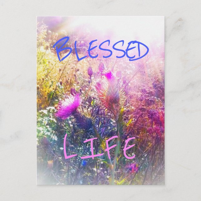 BLESSED LIFE POSTCARD POSTKARTE (Vorderseite)