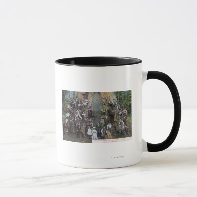 Blick auf Boole, den größten Baum der Welt Tasse (Rechts)