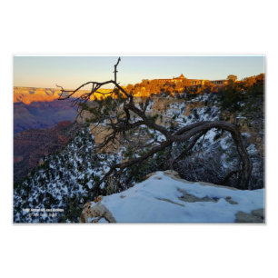 Blick auf das El Tovar-Hotel mit Blick auf den Gra Fotodruck
