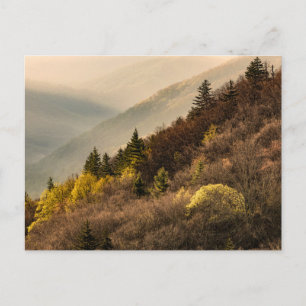 Blick auf das Oconaluftee-Tal   North Carolina Postkarte