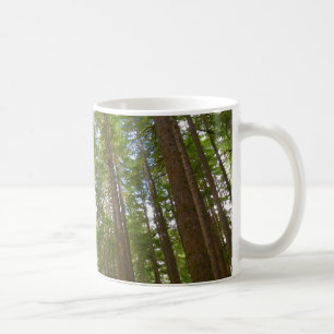 Blick auf den alten Wachstumswald Kaffeetasse