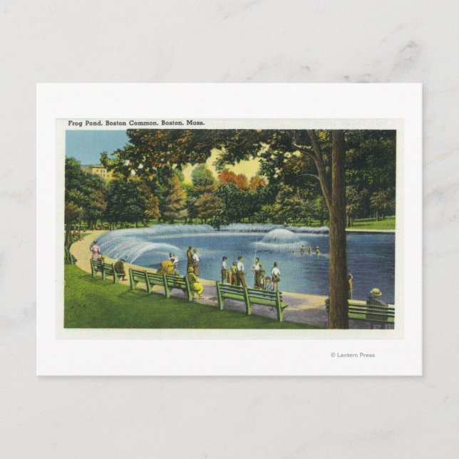 Blick auf den Boston Common Frog Pond Postkarte (Vorderseite)