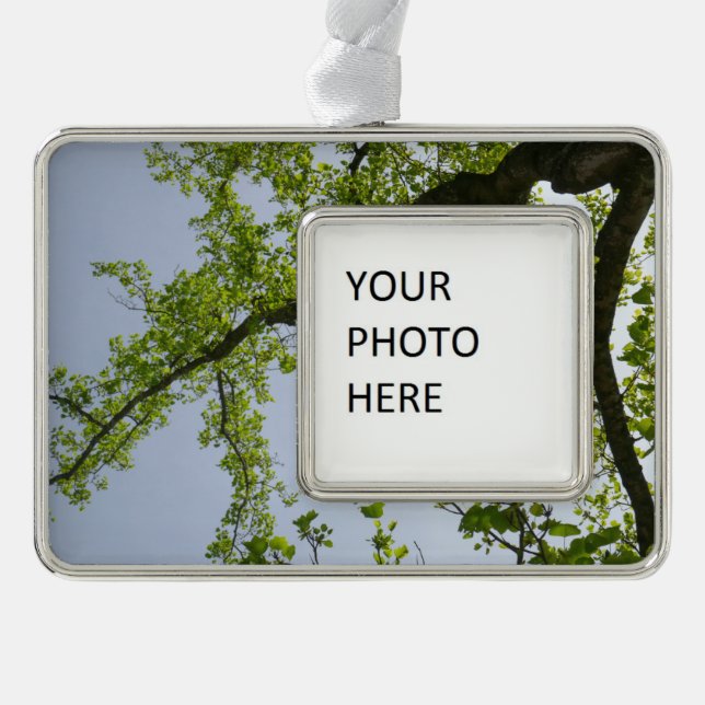 Blick auf den Frühlingsblütenbaum Rahmen-Ornament Silber (Vorderseite)