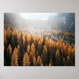 Blick auf den Herbst mit gelben Larven Poster