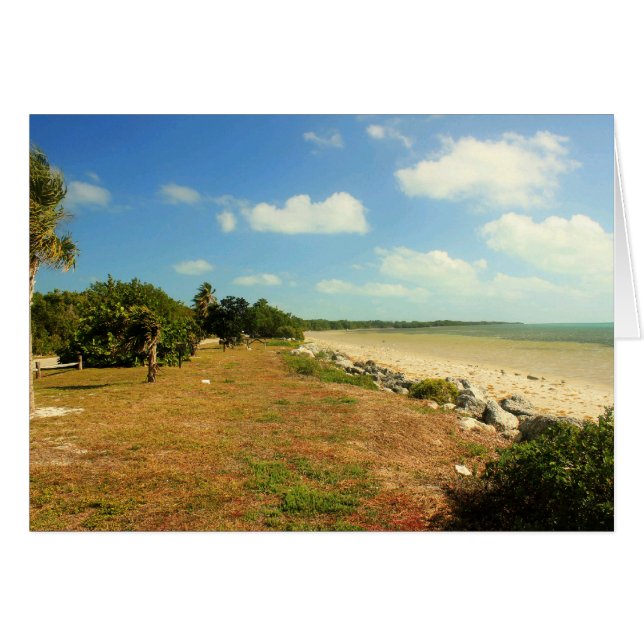 Blick auf den Long Peak Staat Park, Florida (Vorderseite (Horizontal))