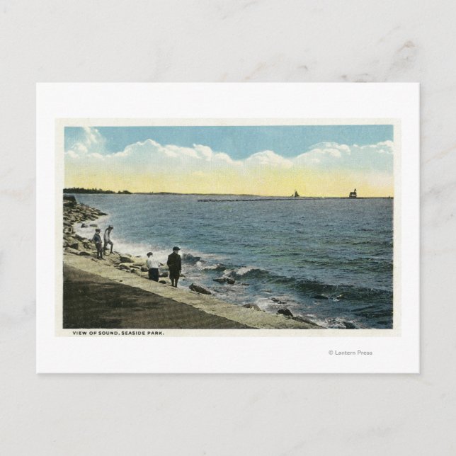 Blick auf den Park Postkarte (Vorderseite)