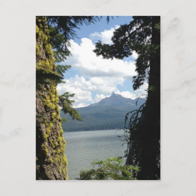 Blick auf den Thielsen über den Diamantensee. Postkarte (Vorderseite)