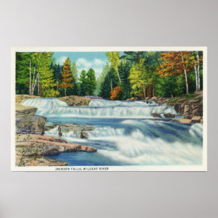 Blick auf den Wilden Cat River und die Jackson Fal Poster