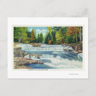 Blick auf den Wilden Cat River und die Jackson Fal Postkarte