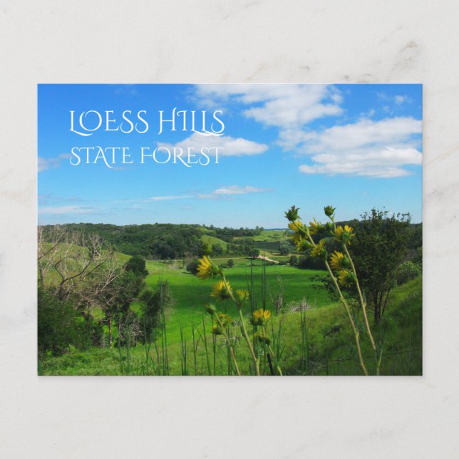 Blick auf die Aussicht, Loess Hills Staat Forest,  Postkarte (Vorderseite)