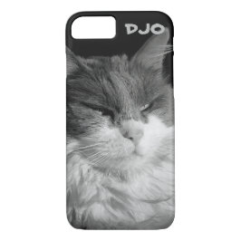 Blick auf die Bat Cat Case-Mate iPhone Hülle