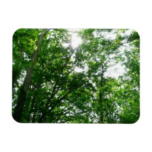 Blick auf die Bäume des Sommers Magnet
