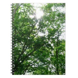 Blick auf die Bäume des Sommers Notizblock