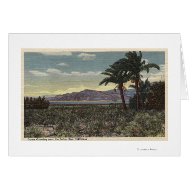 Blick auf die Daten in der Nähe des Salton-Meeres  (Vorderseite (Horizontal))