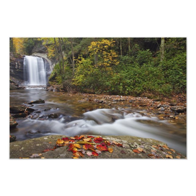 Blick auf die Glasfälle im Pisgah National Fotodruck (Vorne)