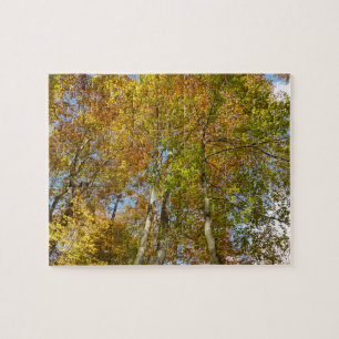 Blick auf die Herbstlaub III farbenfrohe Foliage Puzzle