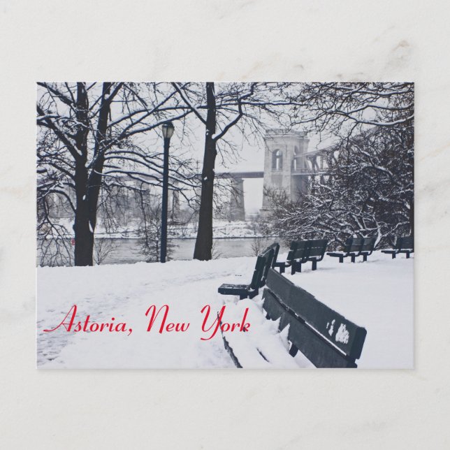 Blick auf die Höllenbrücke, Astoria NY Postkarte (Vorderseite)