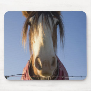 Blick auf die Kamera Mousepad