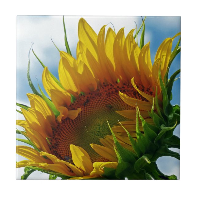 Blick auf die Sonne Fliese (Vorderseite)