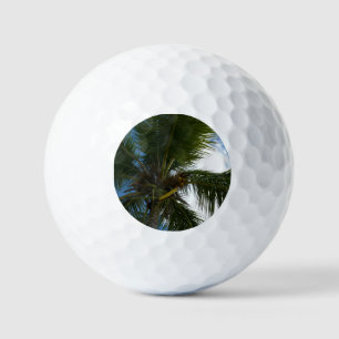 Blick auf die tropische Natur der Kokospalme Golfball