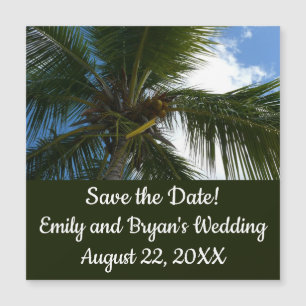 Blick auf die tropische Natur der Kokospalme Magnetkarte