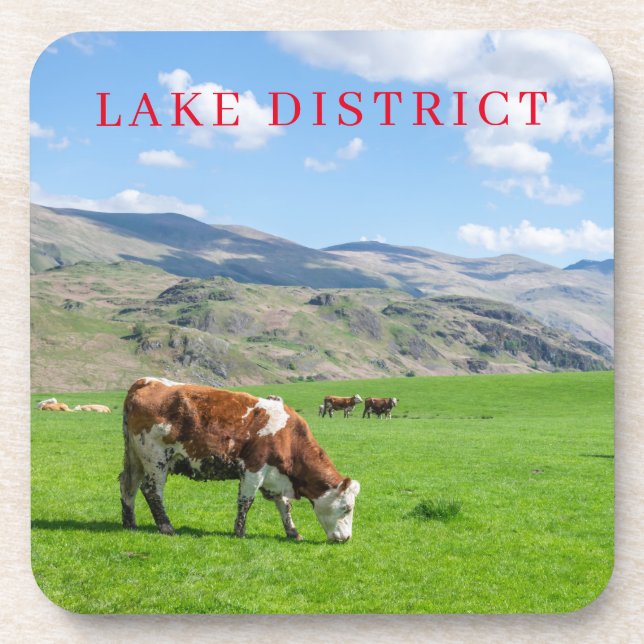 Blick auf die Untersetzer im Lake District (Vorderseite)