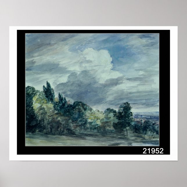 Blick auf eine weite Landschaft, mit Bäumen im Vor Poster (Vorne)