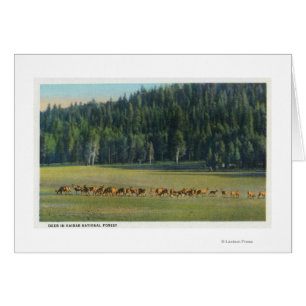 Blick auf eine Wildweide-Packung