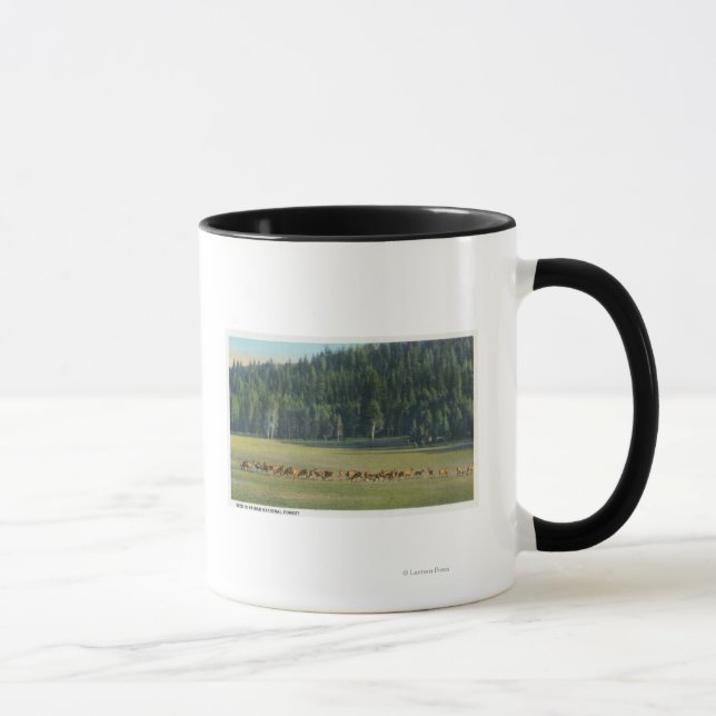 Blick auf eine Wildweide-Packung Tasse (Rechts)