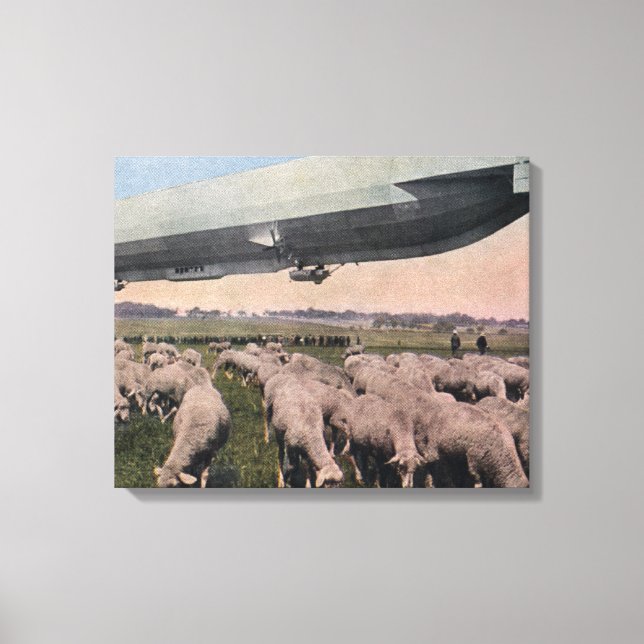 Blick auf einen Zeppelin Blimp über das Weideschaf Leinwanddruck (Vorderseite)