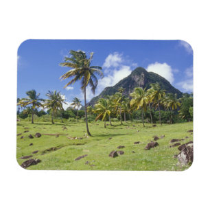 Blick auf Gros Piton entlang des historischen Pfad Magnet