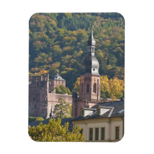 Blick auf Heidelbergs Altstadt Magnet