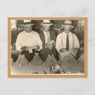 Blick auf Mais Postkarte