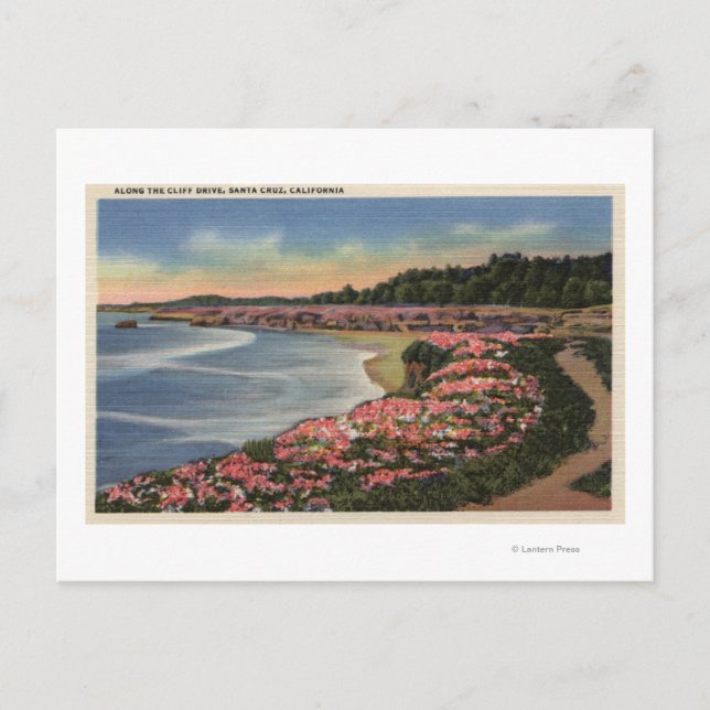 Blick auf Meer, Strand und Blume auf dem Cliff Dri Postkarte (Vorderseite)