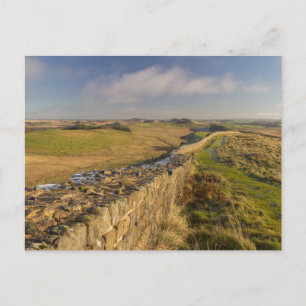 Blick auf Northumberland von Hadrians Mauer Postkarte