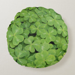 Blick auf Oxalis Oregana Wald-Sauerklee-Laub Rundes Kissen
