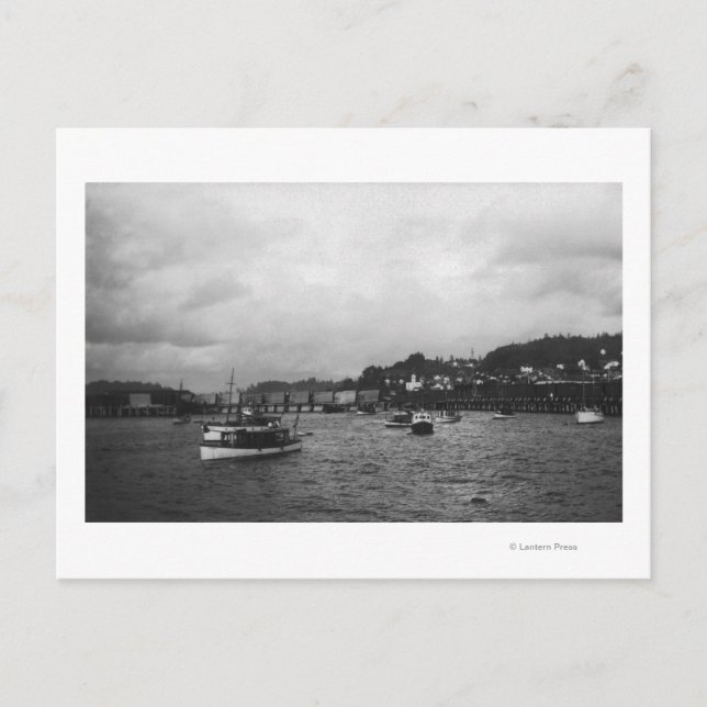 Blick auf Schiffe bei der 15. jährlichen Regatta Postkarte (Vorderseite)