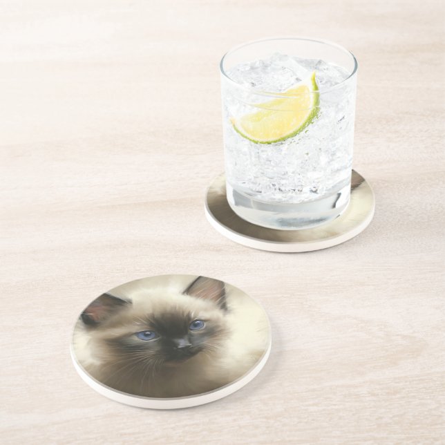 Blick auf Unschuld Siam Kitten Portrait Getränkeuntersetzer (Seite)